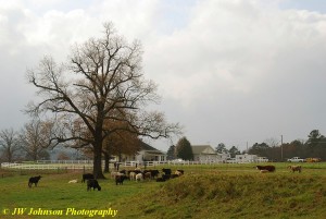 Family Farm Restored