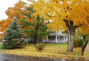 Hollow House Vine and Church Streets