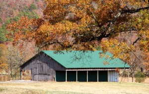 Joe`s Barn