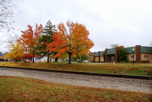 Main Street Maples by Bank of Sullivan