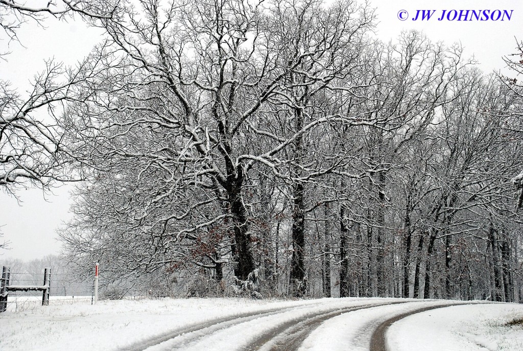 Bacon Ridge Road Sentinels