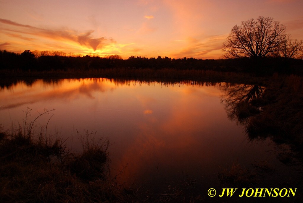 Farmpond Sunset 3