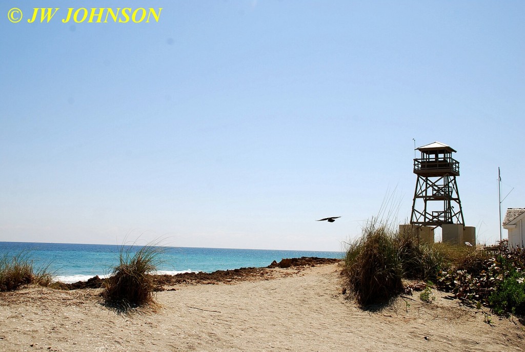 Hutchinson Island Refuge Beach