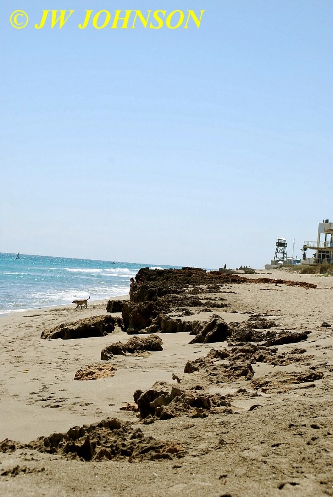 Hutchinson Island Refuge Beach 5