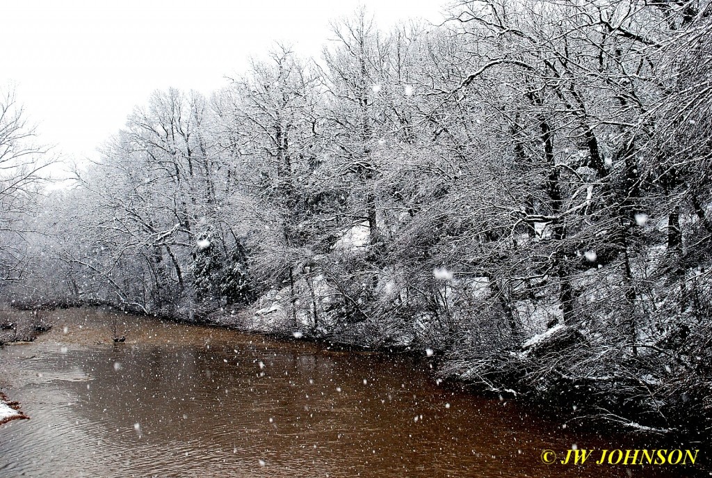 Late March Boone Creek