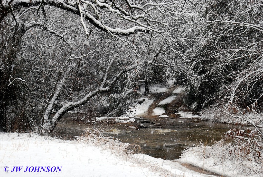 Late March Creek Crossing 3