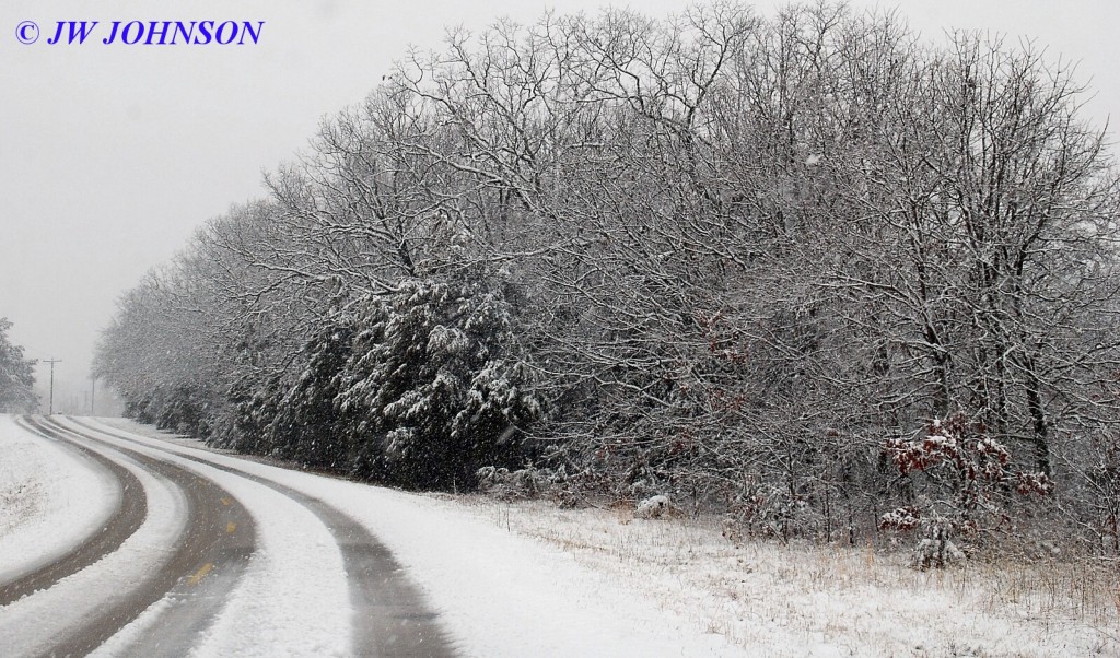 Late March Seminary Road