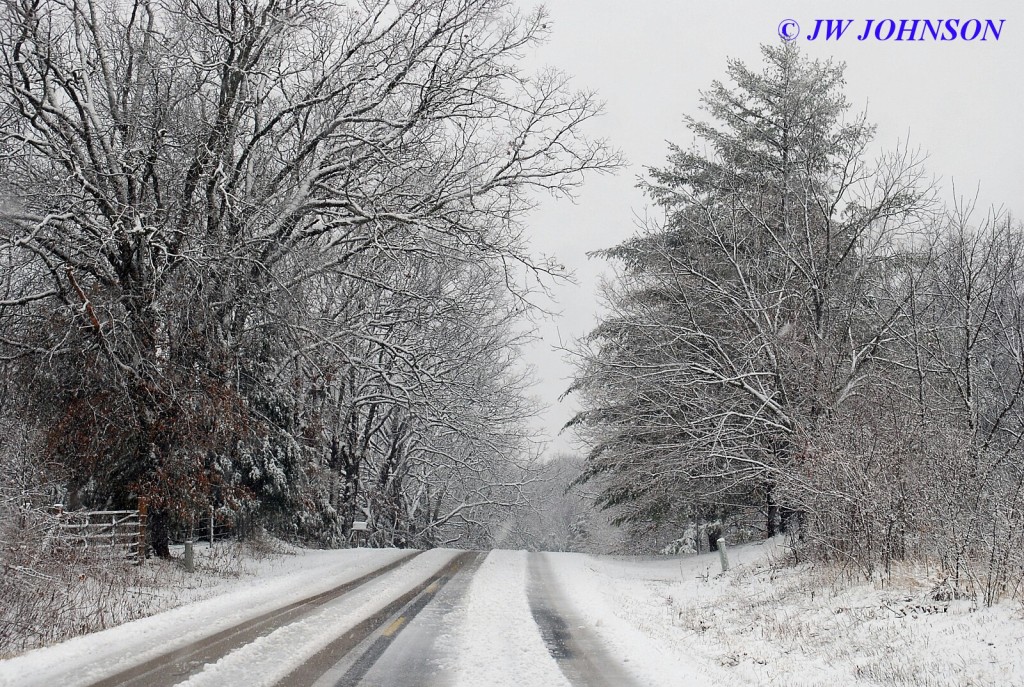 Late March Seminary Road 4