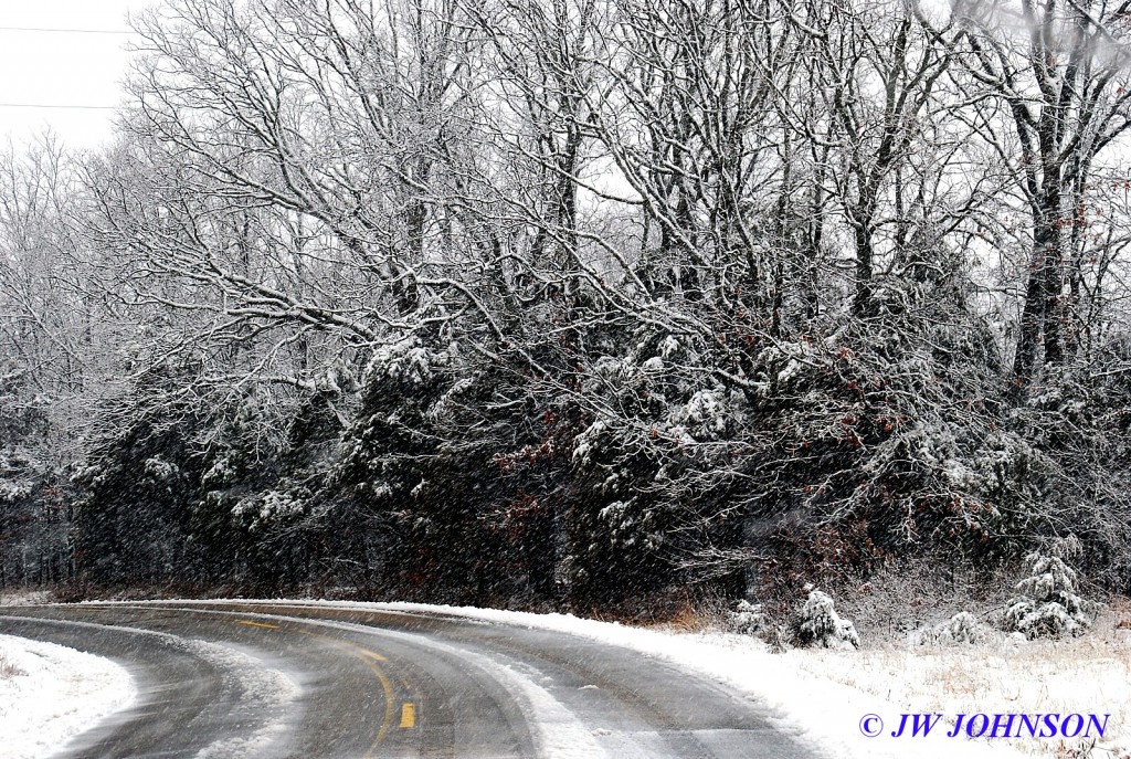 Late March Seminary Road 5