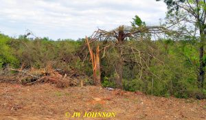 16 Tornado Damage 2016